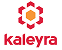 Kaleyra logo